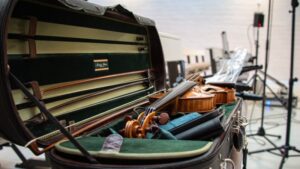 viool VC IMG 3125 Cropped